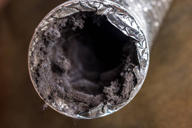 Best Best Air Duct Cleaning Company  in Ozark, MO